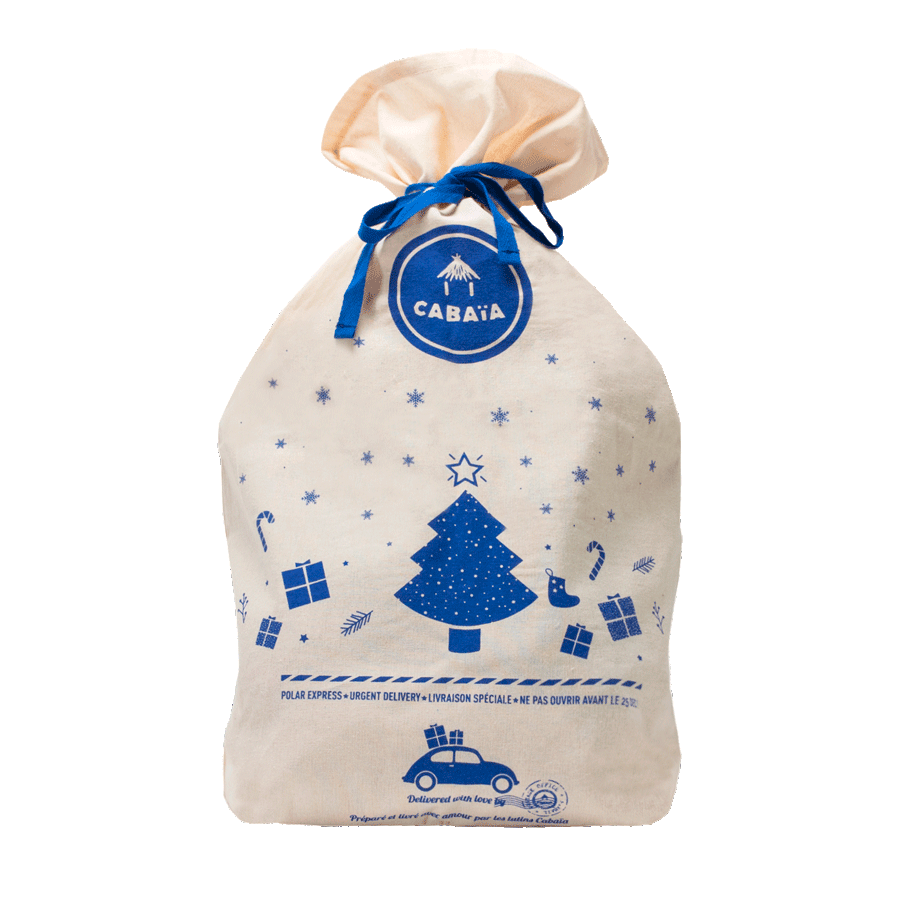 gift-bag-for-mini-or-medium-backpack